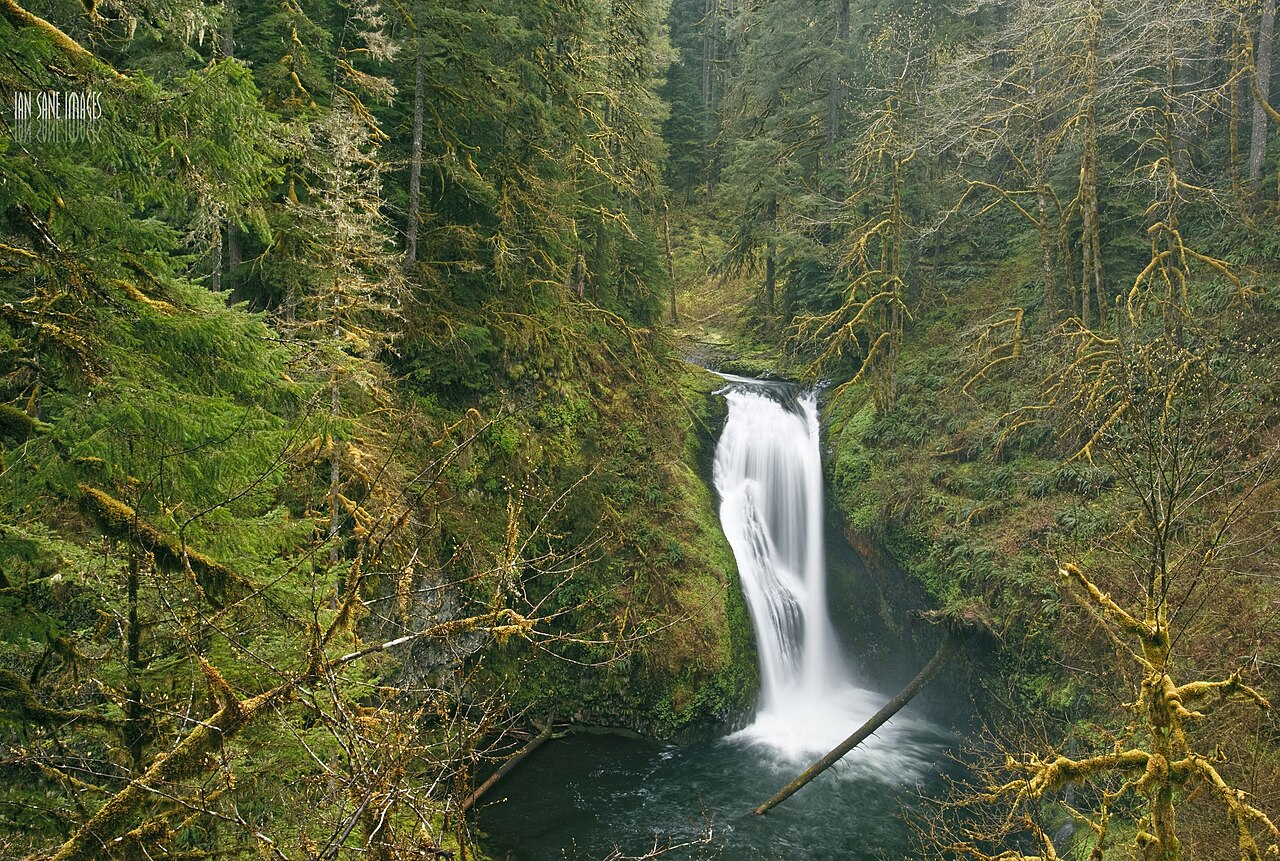 Butte Creek Falls, a waterfall in Oregon