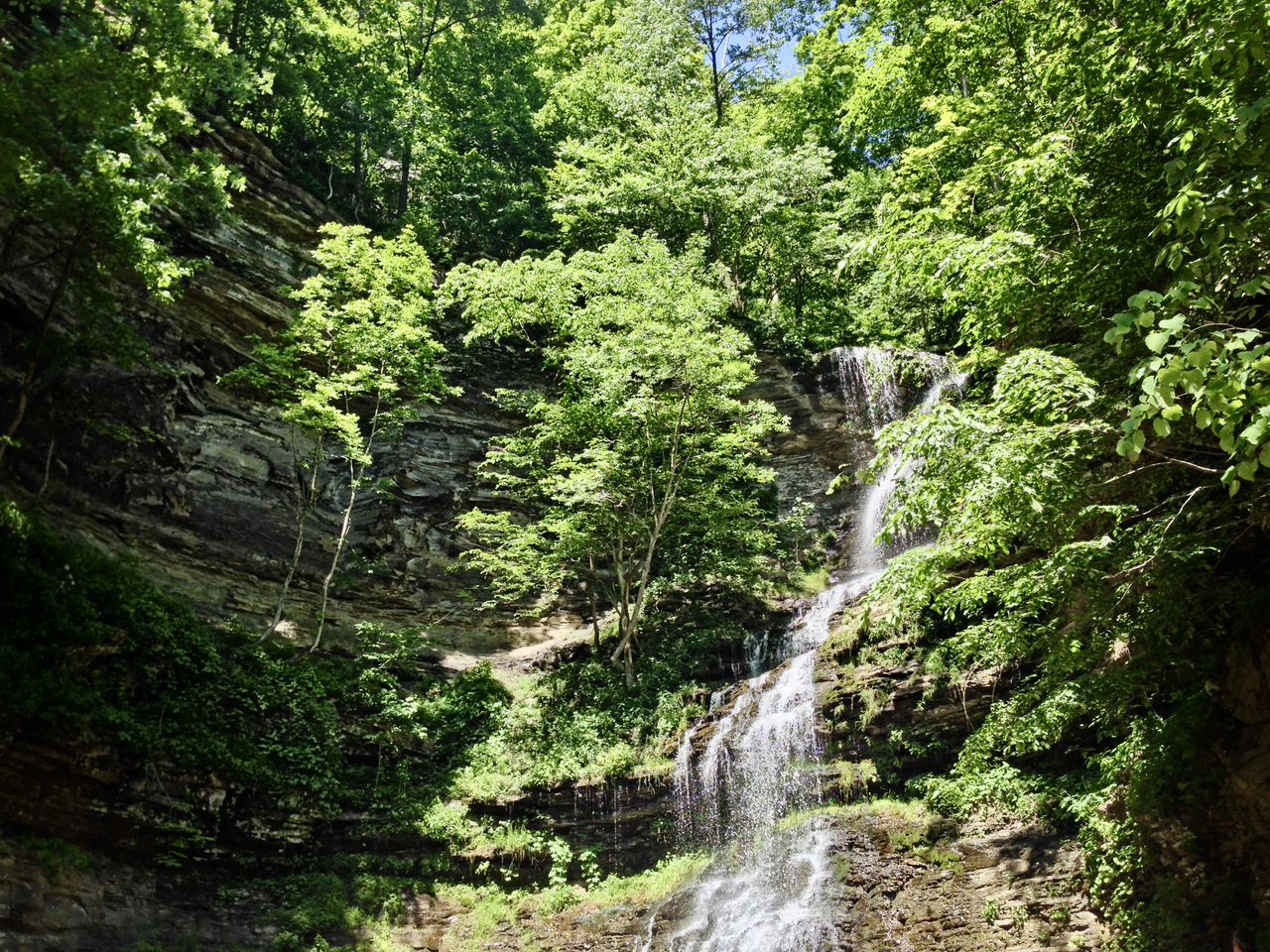 Cathedral Falls, a waterfall in West Virginia