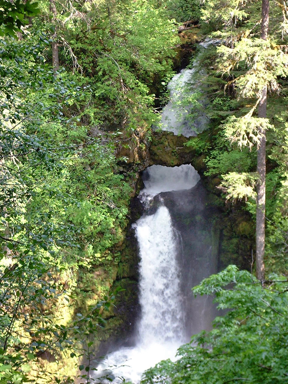 Curly Creek Falls, a waterfall in Washington