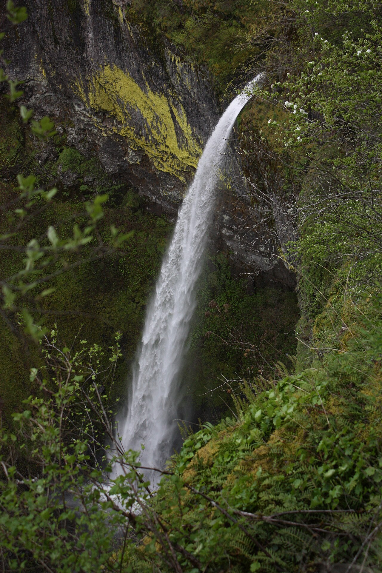 Elowah Falls, a waterfall in Oregon