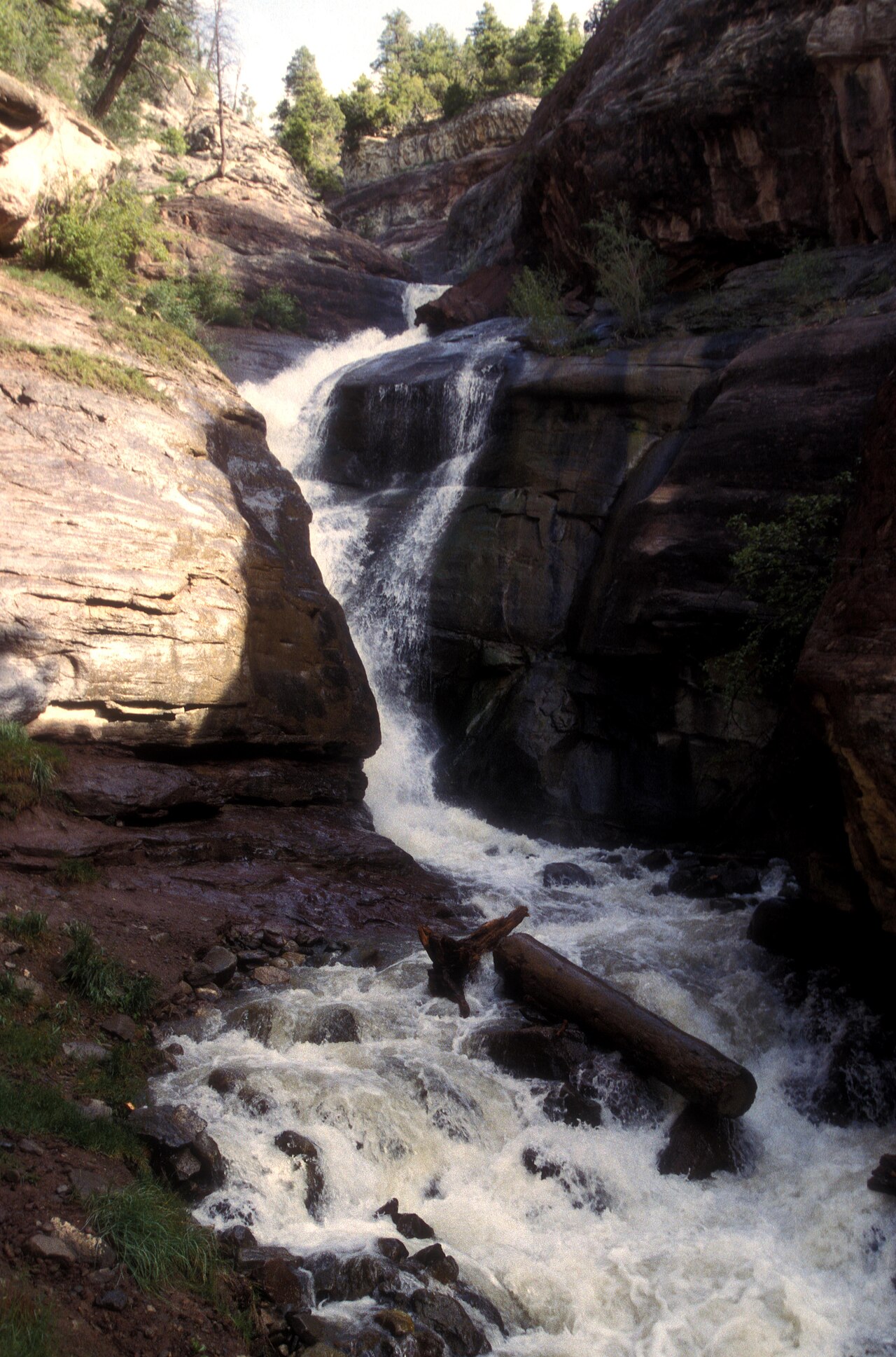Hays Creek Falls, a waterfall in Colorado