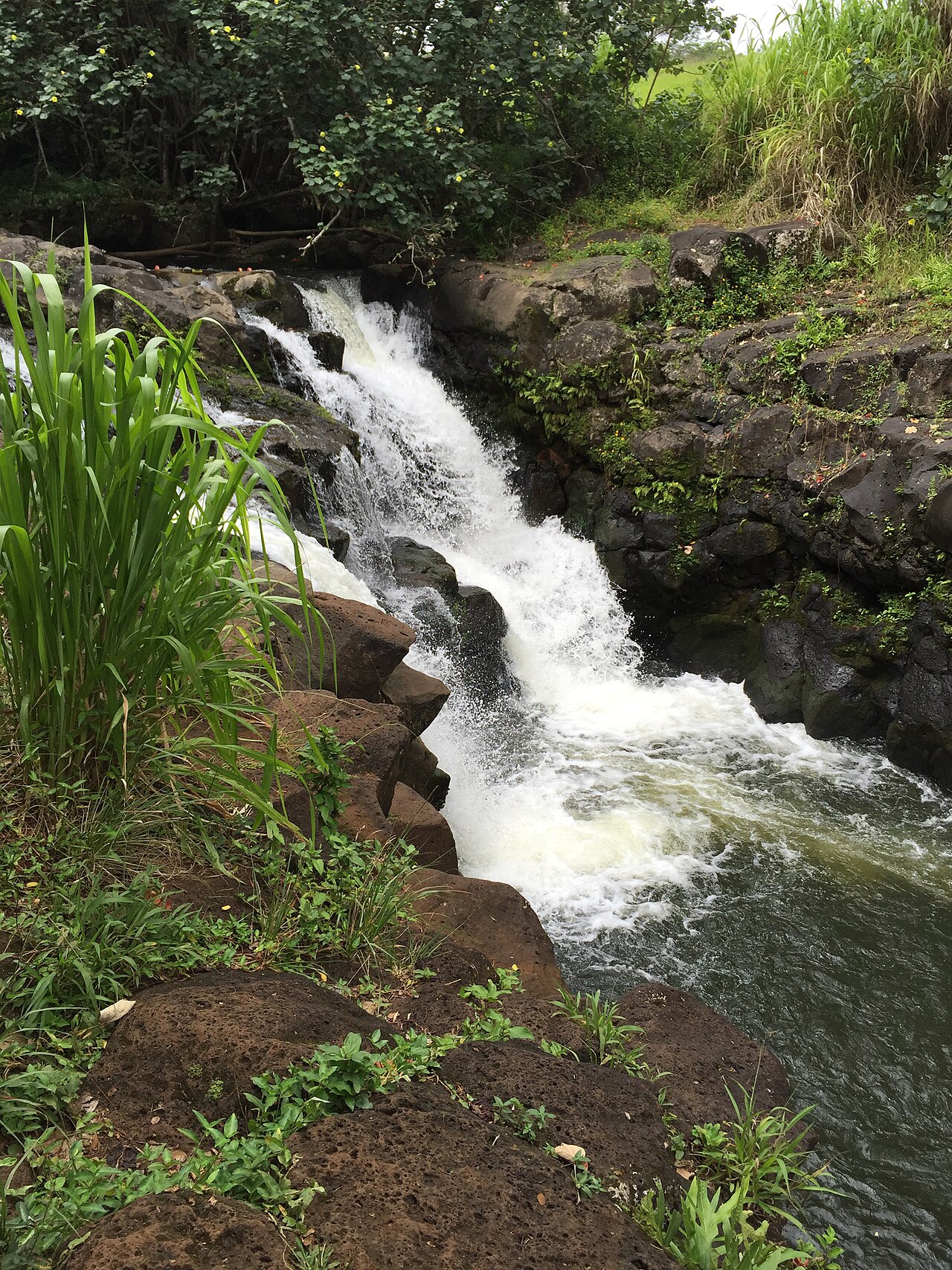 Hoʻopiʻi Falls, a waterfall in Hawaii