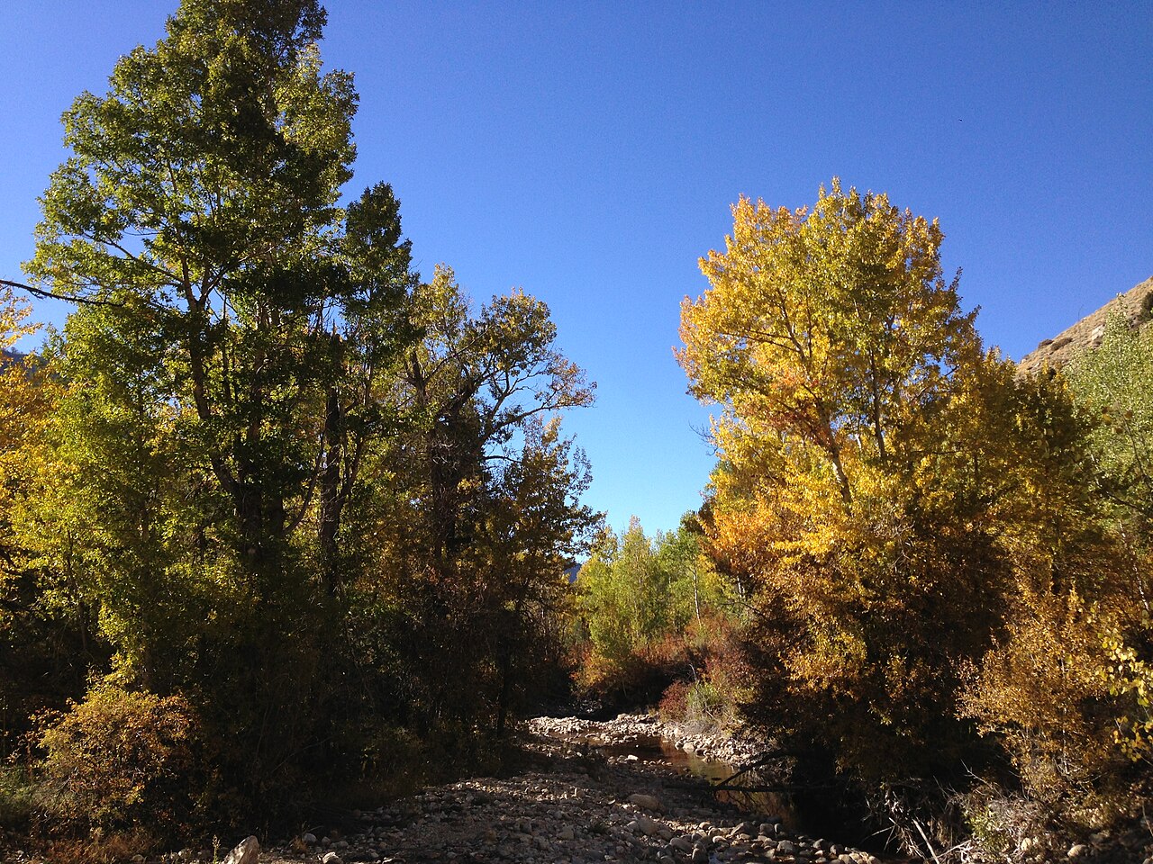 Lamoille Falls, a waterfall in Nevada