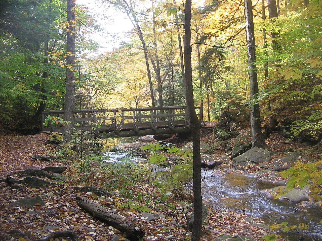 Ozone Falls, a waterfall in Tennessee