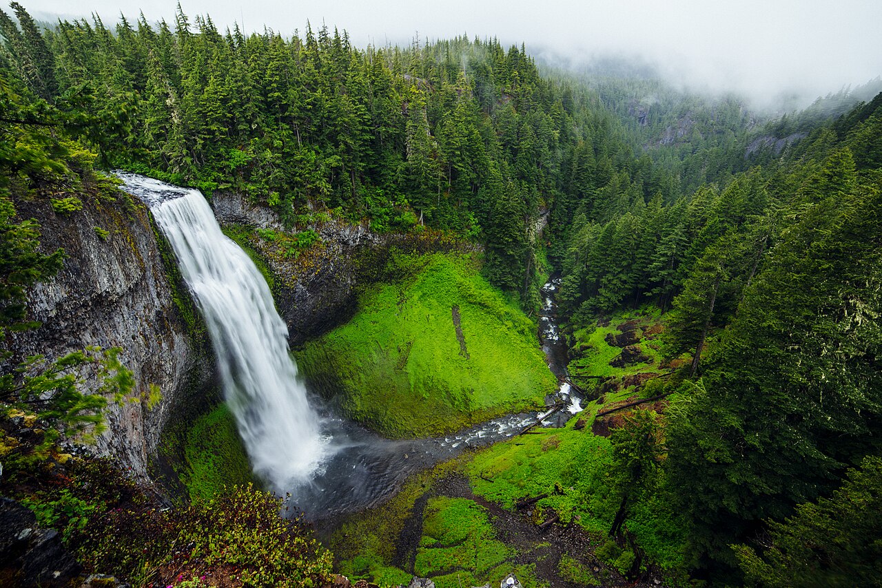 Salt Creek Falls, a waterfall in Oregon