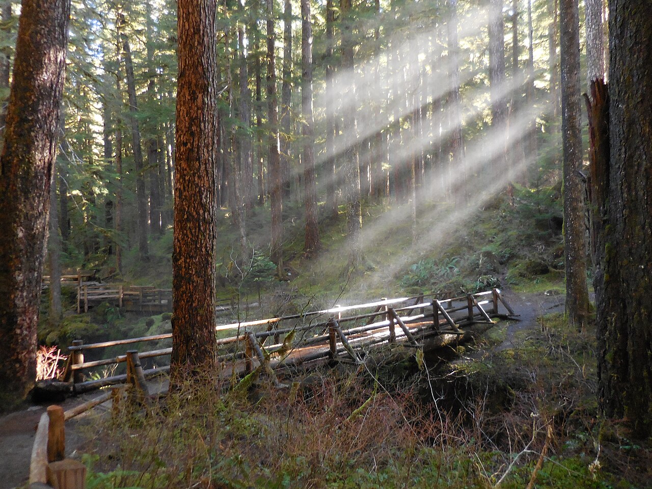 Sol Duc Falls, a waterfall in Washington