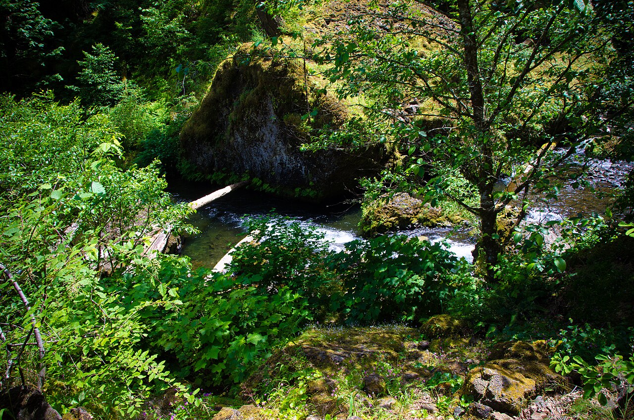 Wahclella Falls, a waterfall in Oregon